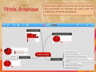 Nous avons utilisé les services de ce site internet
Pétale Graphique   pour présenter les résultats de notre audit du
                   public sous forme de graphiques.
 