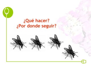 ¿Qué hacer? ¿Por donde seguir? 