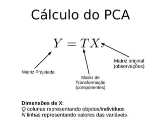 Cálculo do PCA
Matriz de
Transformação
(componentes)
Matriz original
(observações)
Matriz Projetada
Dimensões de X:
Q colunas representando objetos/indivíduos
N linhas representando valores das variáveis
 