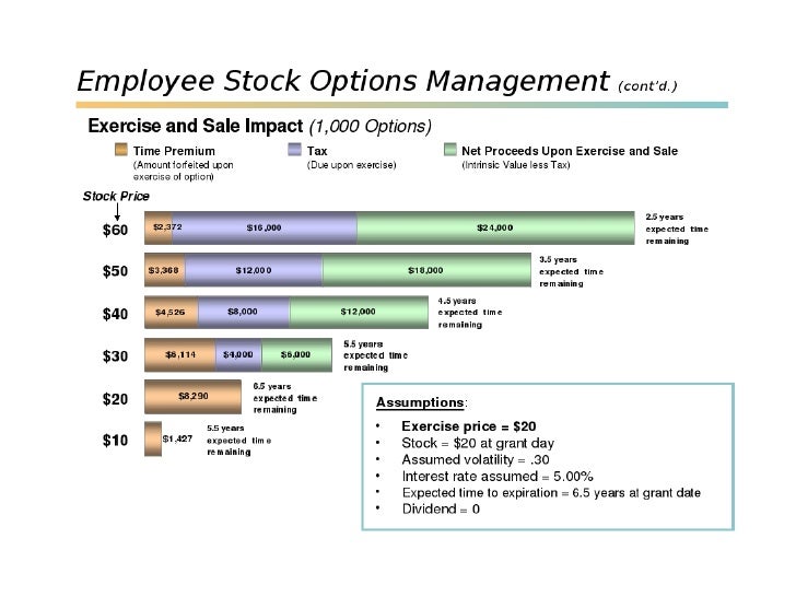 Employee stock options shares