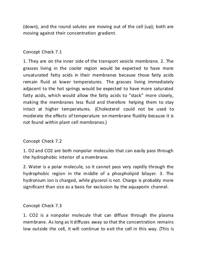 report outline rome fontanacountryinn com reports outline