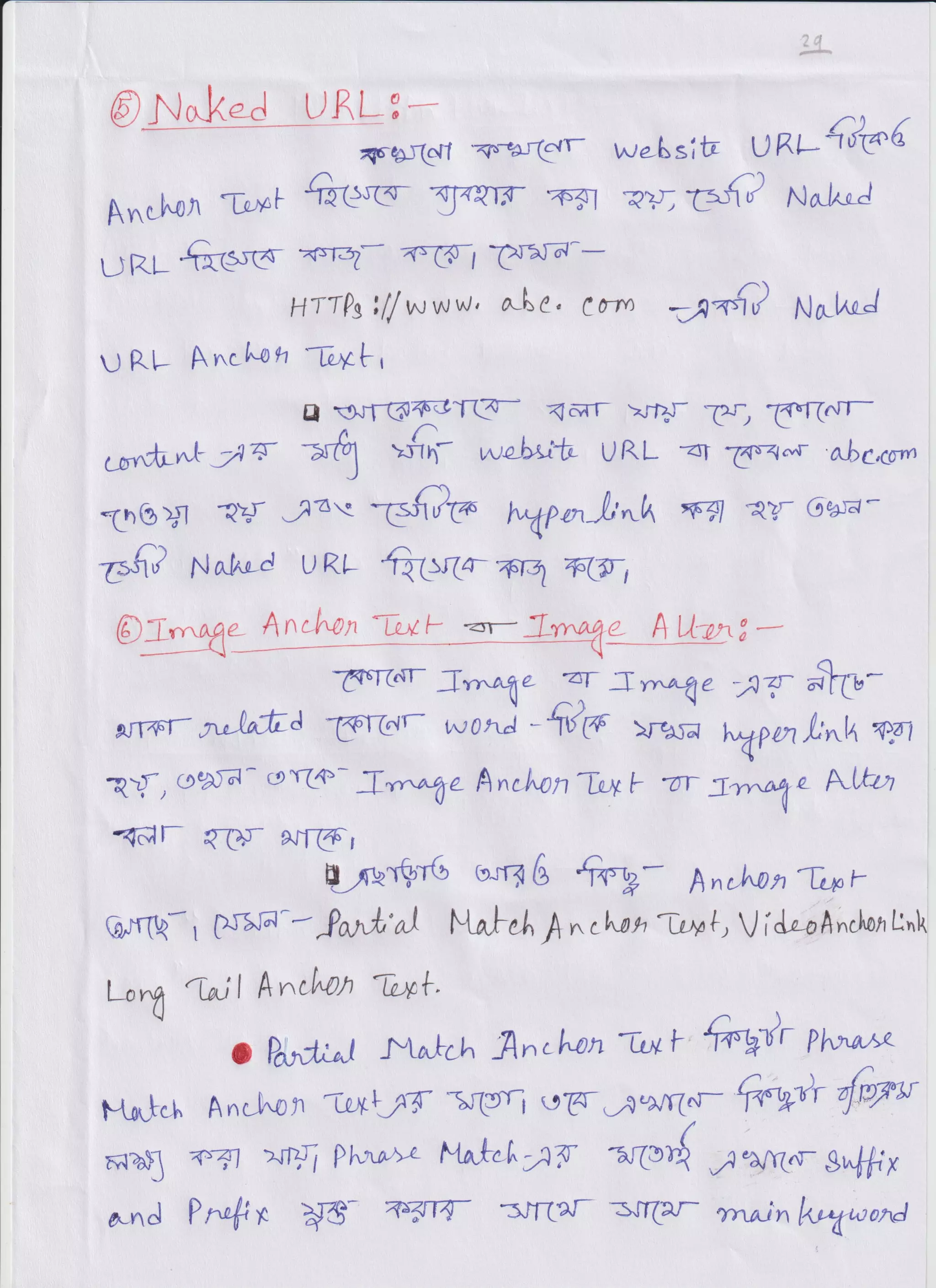 Outline SEO Notes 2 (1).pdf