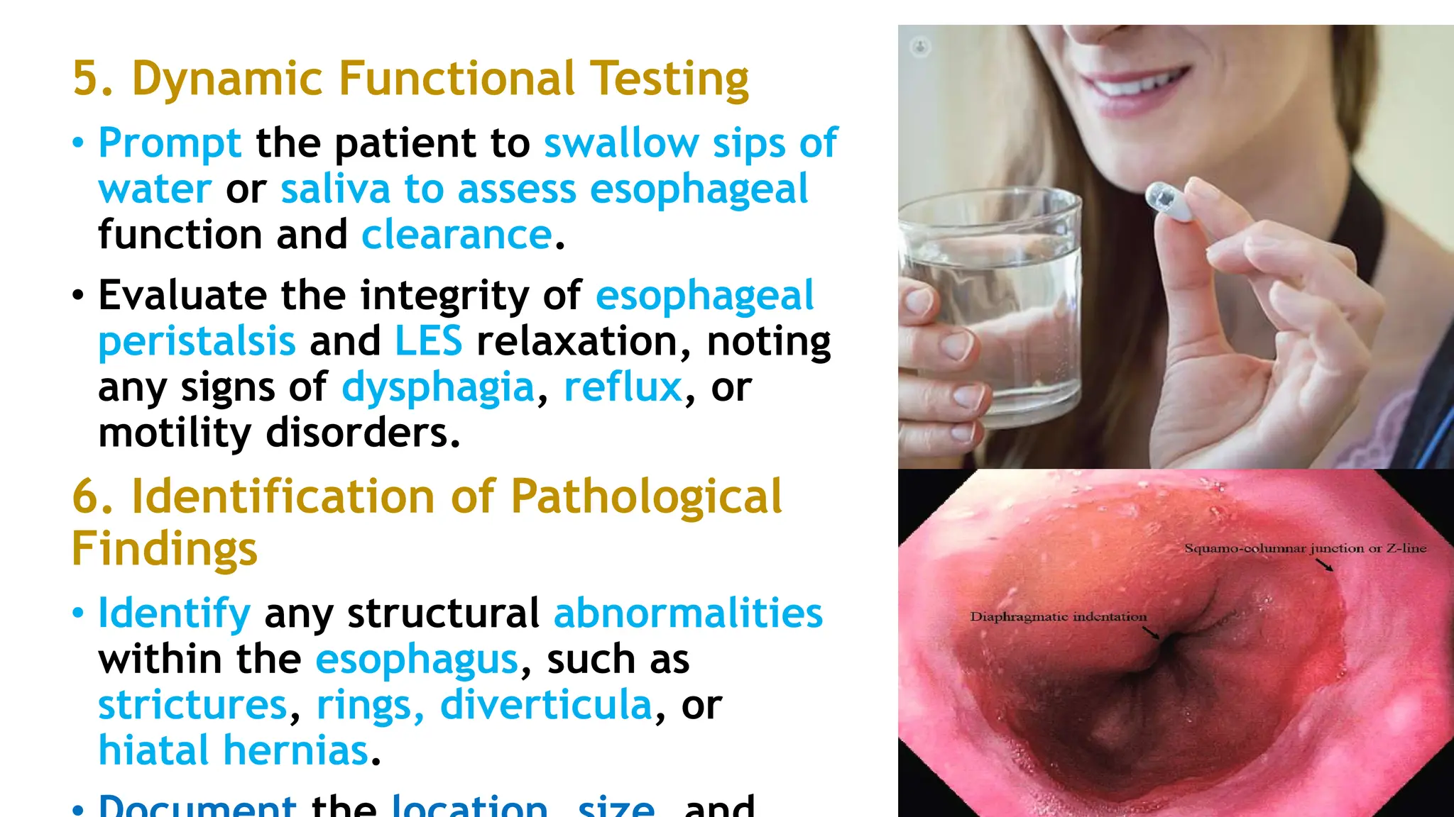 Outline the Transnasal visualization of the pharynx,larynx,.pptx