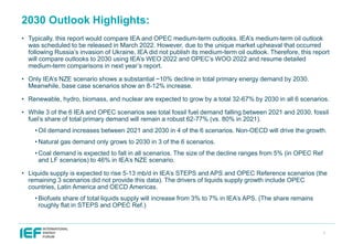 IEA IEF OPEC Outlook Comparison Report 2023 | PDF