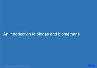 12 | Outlook for biogas and biomethane | IEA 2020. All rights reserved
An introduction to biogas and biomethane
 