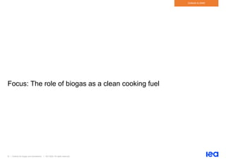 51 | Outlook for biogas and biomethane | IEA 2020. All rights reserved
Outlook to 2040
Focus: The role of biogas as a clean cooking fuel
 