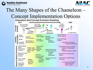 8 
The Many Shapes of the Chameleon – Concept Implementation Options  