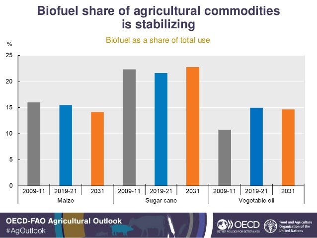 Biofuel share of agricultural commodities
is stabilizing
Biofuel as a share of total use
 