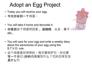 Adopt an Egg Project
• Today you will receive your egg.
• 今天你收到一个鸡蛋。
• You will take it home and decorate it.
• 你要把这个鸡蛋带回家 。画眼睛，头发，鼻子
etc.,
• You will care for your egg and write a weekly diary
about the adventures of your egg using the
S.T.V.O. rule.
• 这个鸡蛋是你领养的。每天要保护它。你也要
写一个日记 (你的鸡蛋喜欢什么？它的日常生活
是什么?）
 