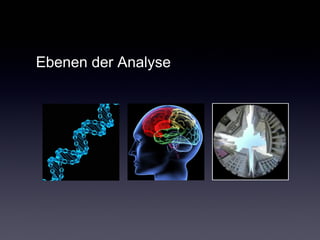 Ebenen der Analyse 
 