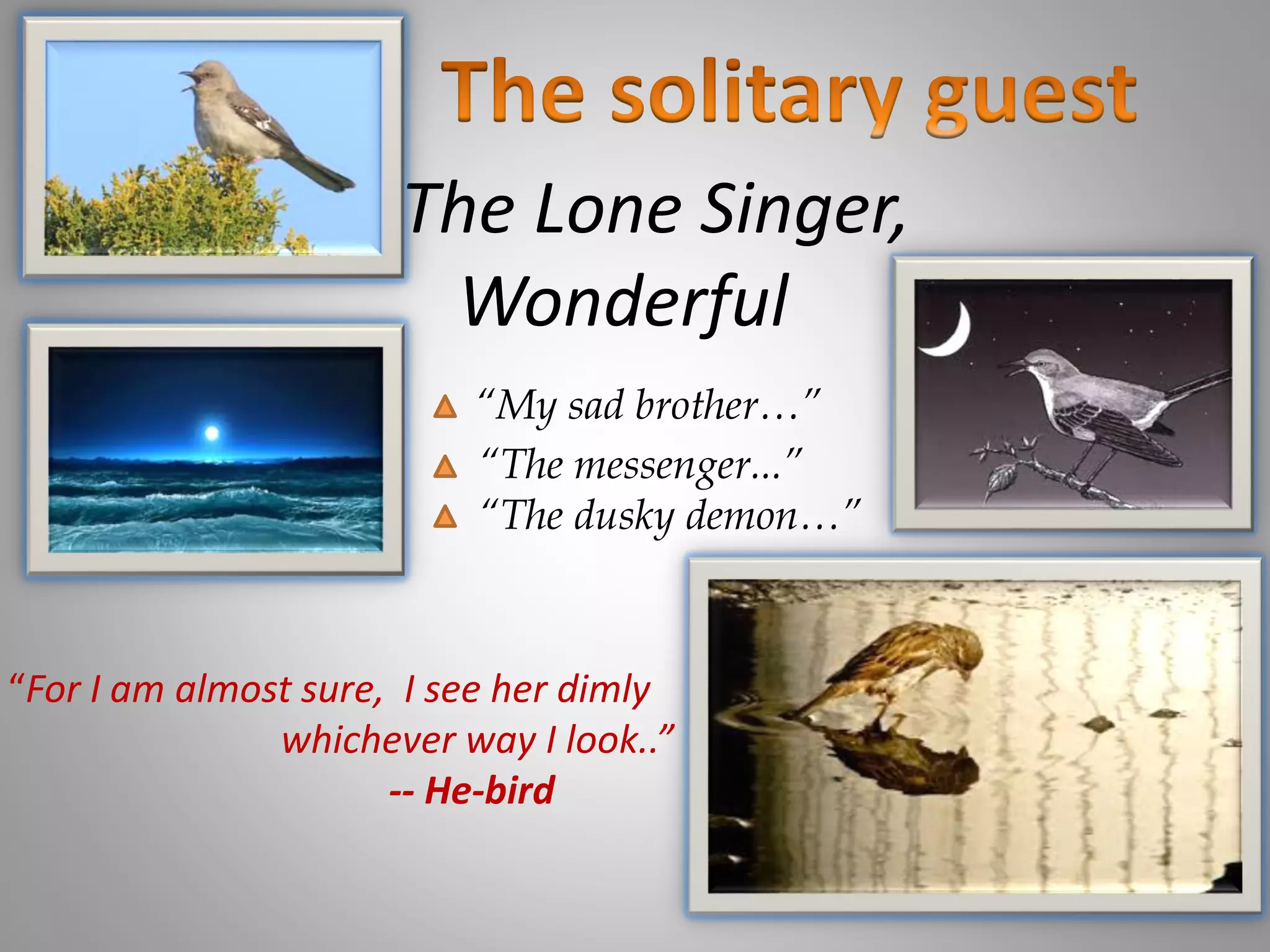 The Lone Singer,
Wonderful
“My sad brother…”
“The messenger...”
“The dusky demon…”
“For I am almost sure, I see her dimly
whichever way I look..”
-- He-bird
 