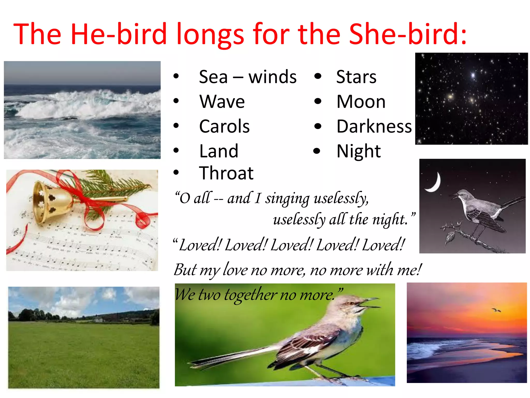 The He-bird longs for the She-bird:
• Sea – winds Stars
• Wave Moon
• Carols Darkness
• Land Night
• Throat
“O all -- and I singing uselessly,
uselessly all the night.”
“Loved! Loved! Loved! Loved! Loved!
But my love no more, no more with me!
We two together no more.”
 