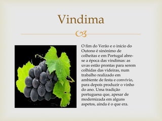 
Vindima
O fim do Verão e o início do
Outono é sinónimo de
colheitas e em Portugal abre-
se a época das vindimas: as
uvas estão prontas para serem
colhidas das videiras, num
trabalho realizado em
ambiente de festa e convívio,
para depois produzir o vinho
do ano. Uma tradição
portuguesa que, apesar de
modernizada em alguns
aspetos, ainda é o que era.
 