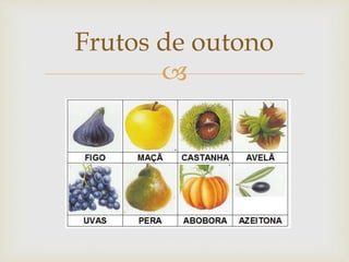 
Frutos de outono
 