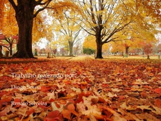 
Trabalho realizado por:
Diogo Sousa
Renato Silveira
 