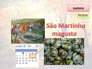 outonofestasSão Martinhomagusto