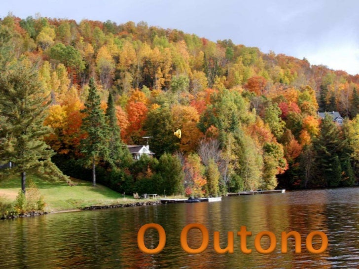Outono imagens.e.pensamentos