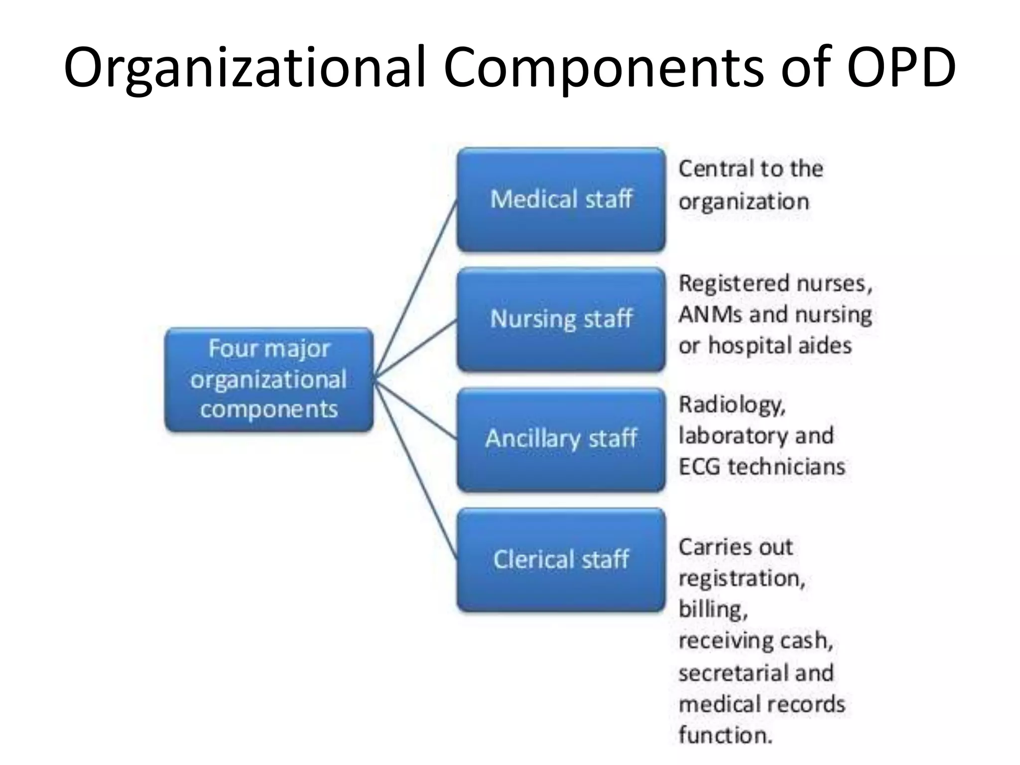 Organizational Components of OPD
 