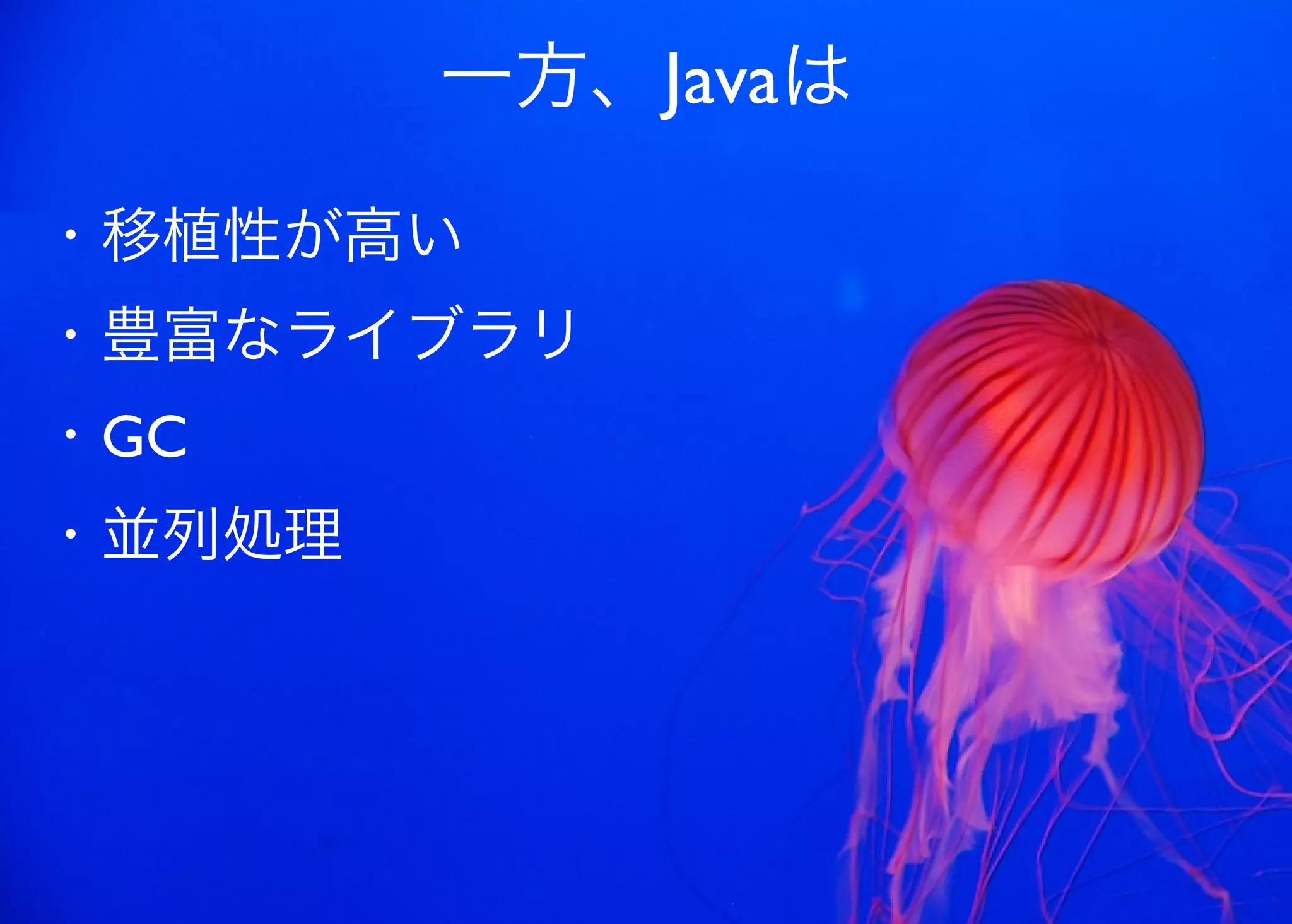 JavaからClojure、そして夢の世界へ