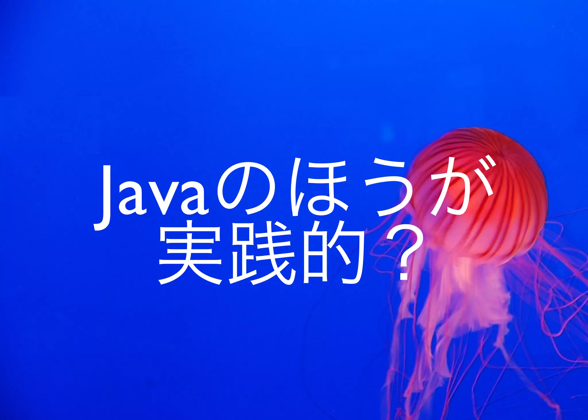 JavaからClojure、そして夢の世界へ