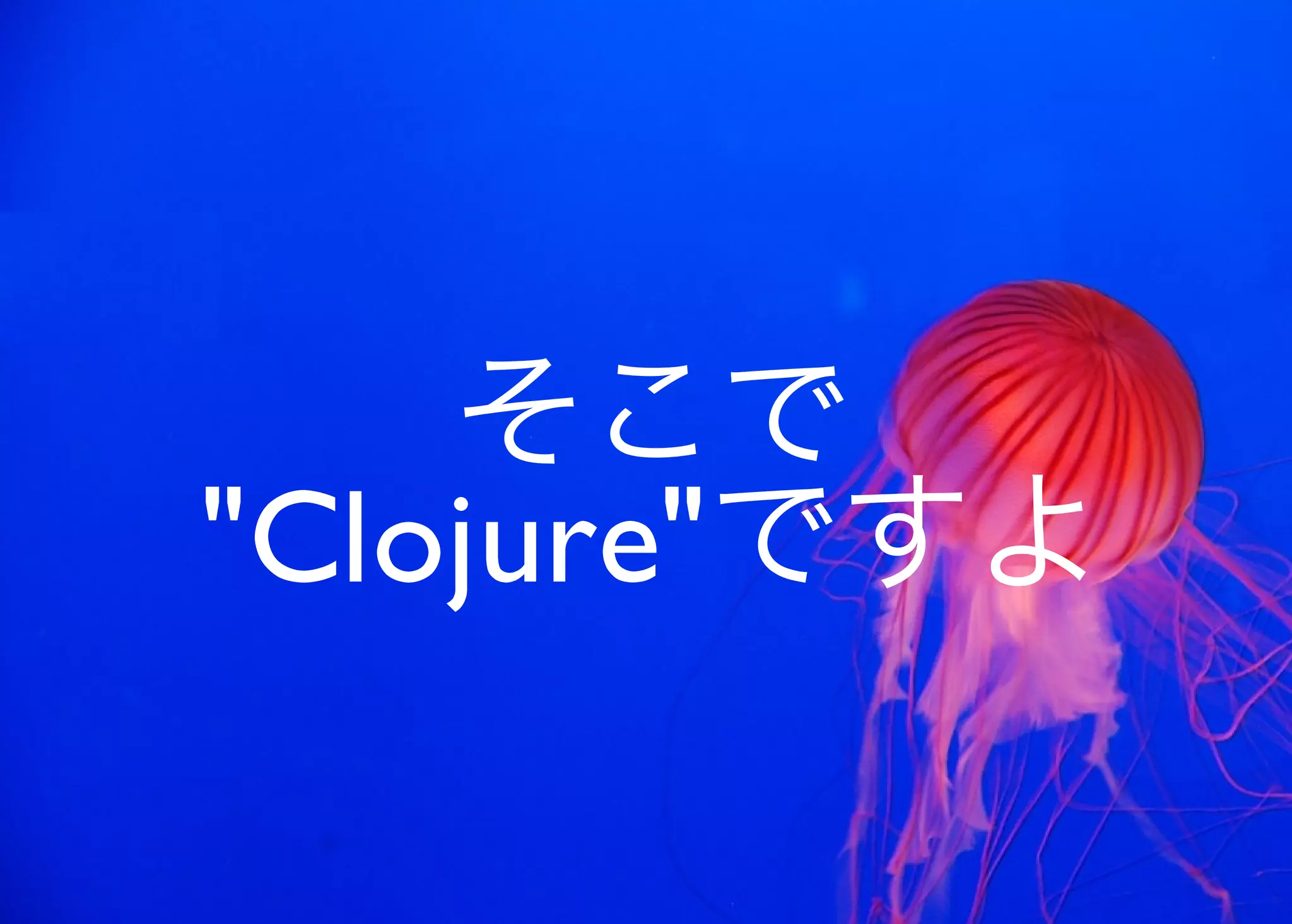 JavaからClojure、そして夢の世界へ