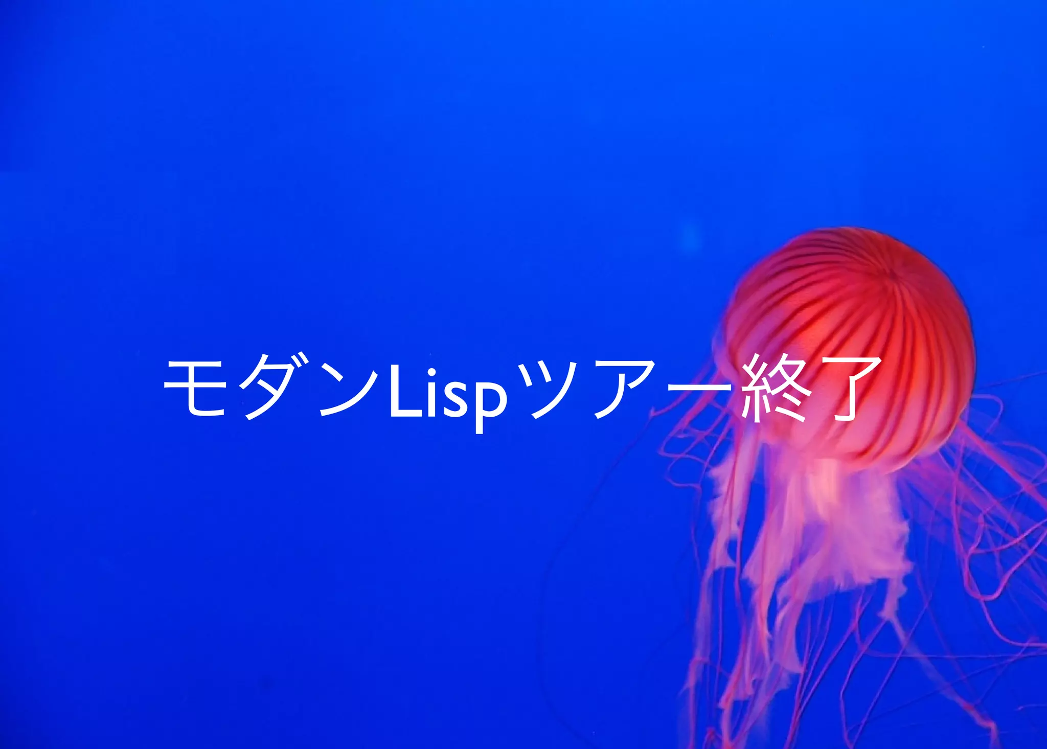 JavaからClojure、そして夢の世界へ