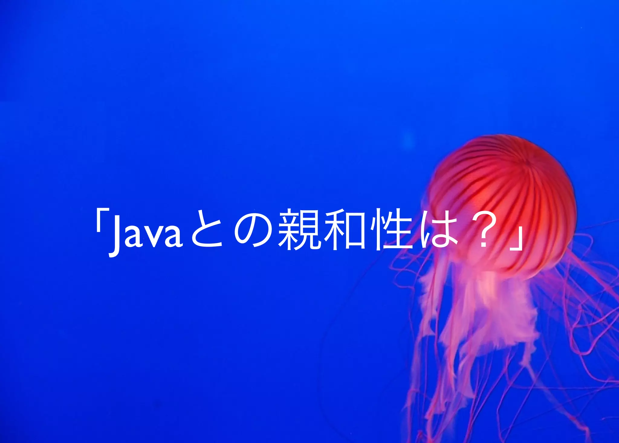 JavaからClojure、そして夢の世界へ