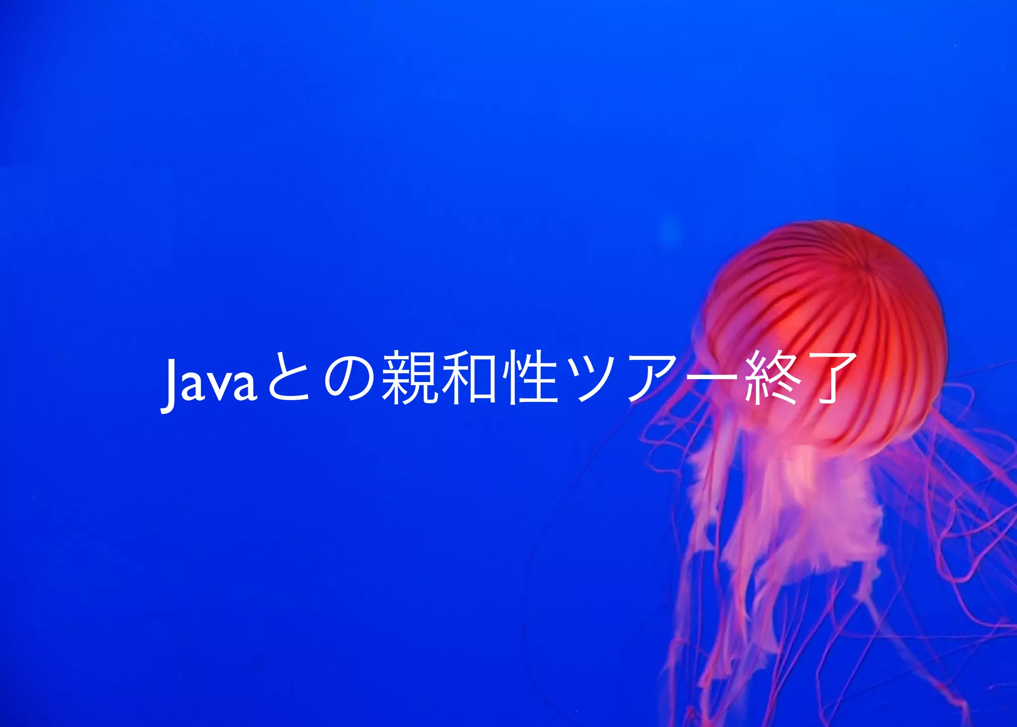JavaからClojure、そして夢の世界へ
