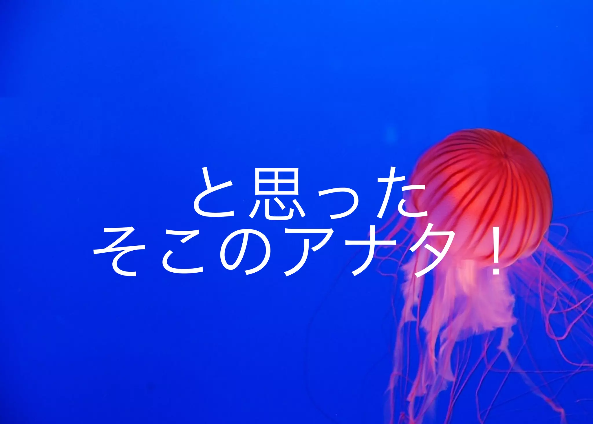 JavaからClojure、そして夢の世界へ