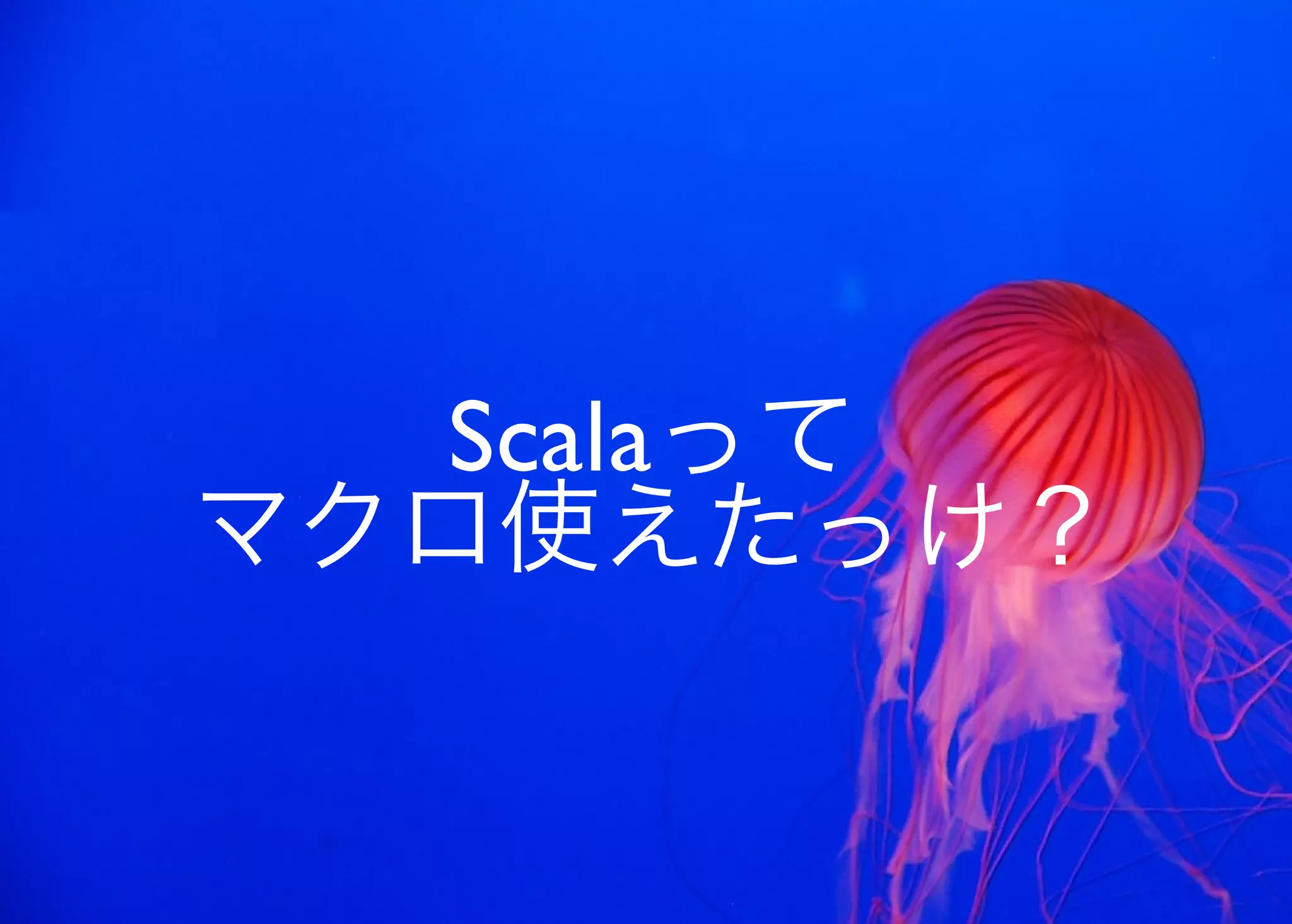 JavaからClojure、そして夢の世界へ