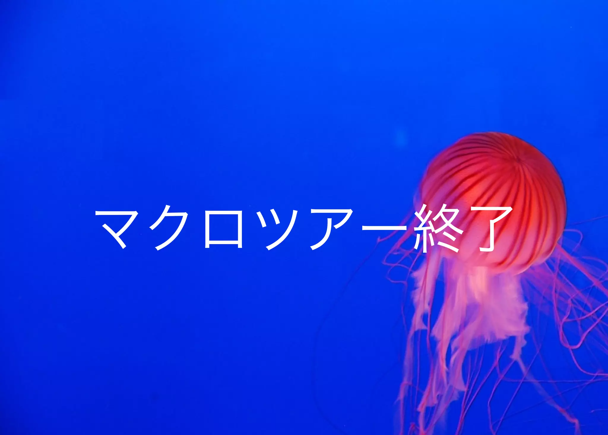 JavaからClojure、そして夢の世界へ