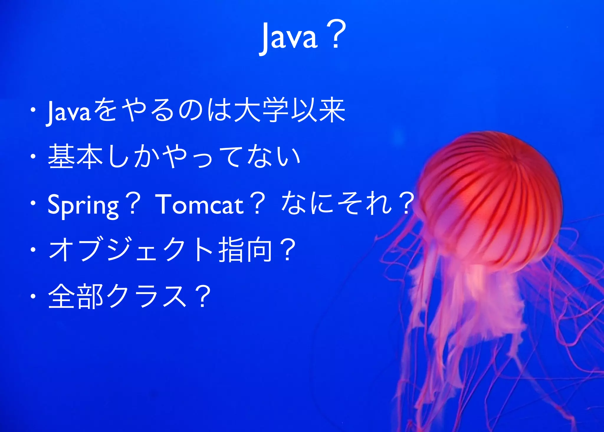 JavaからClojure、そして夢の世界へ