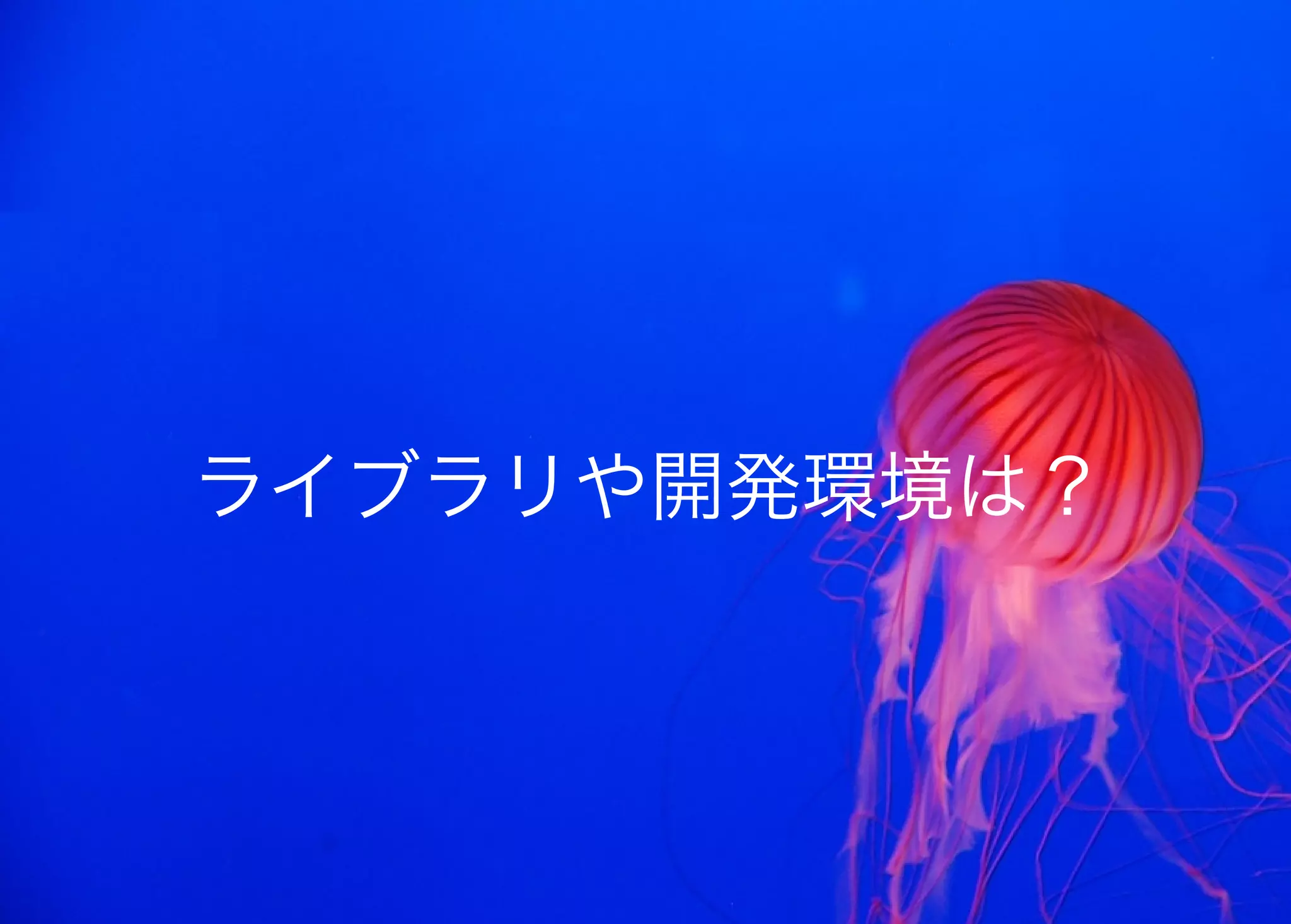 JavaからClojure、そして夢の世界へ