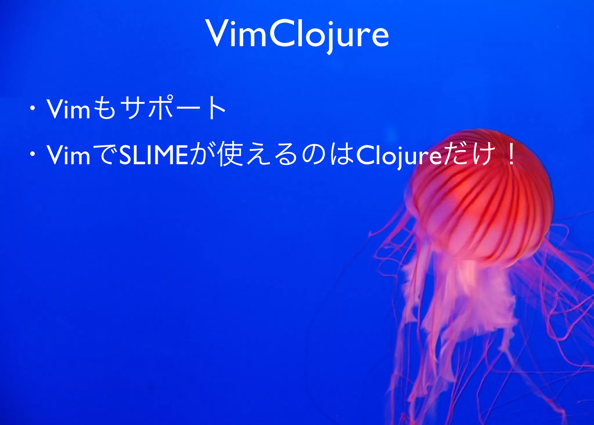 JavaからClojure、そして夢の世界へ