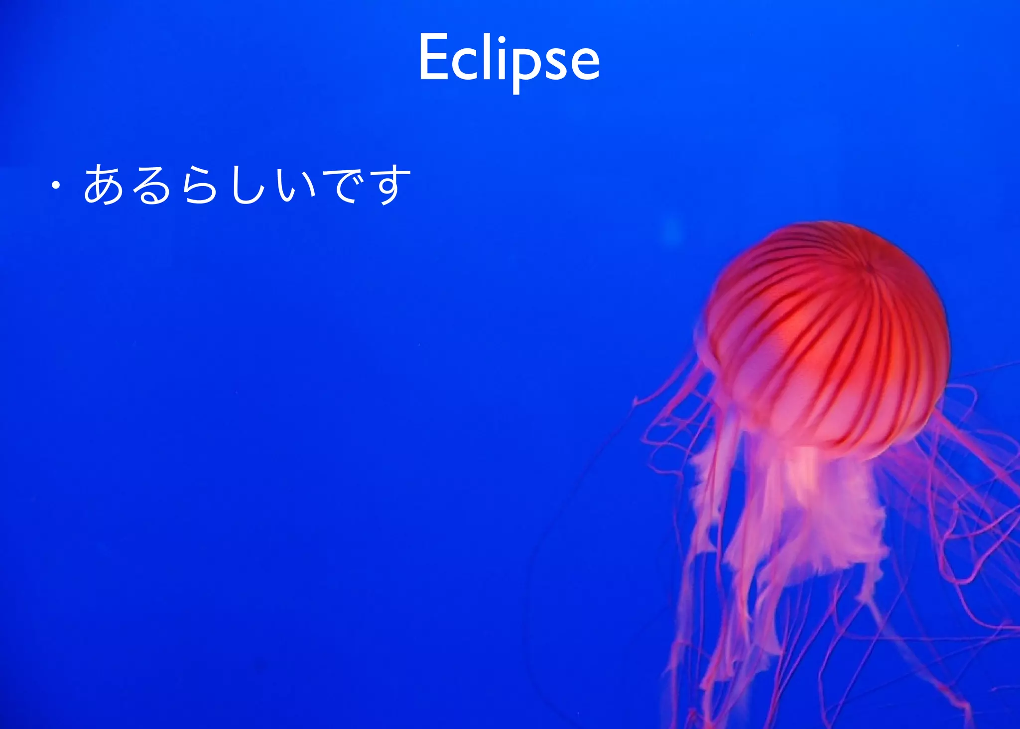 JavaからClojure、そして夢の世界へ