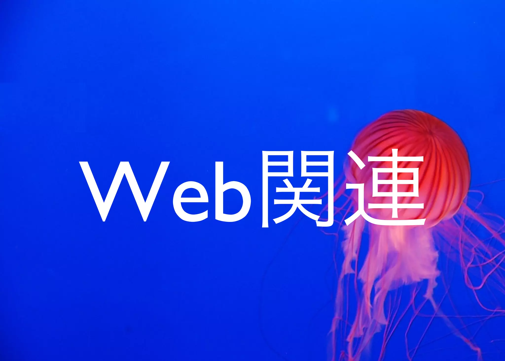 JavaからClojure、そして夢の世界へ