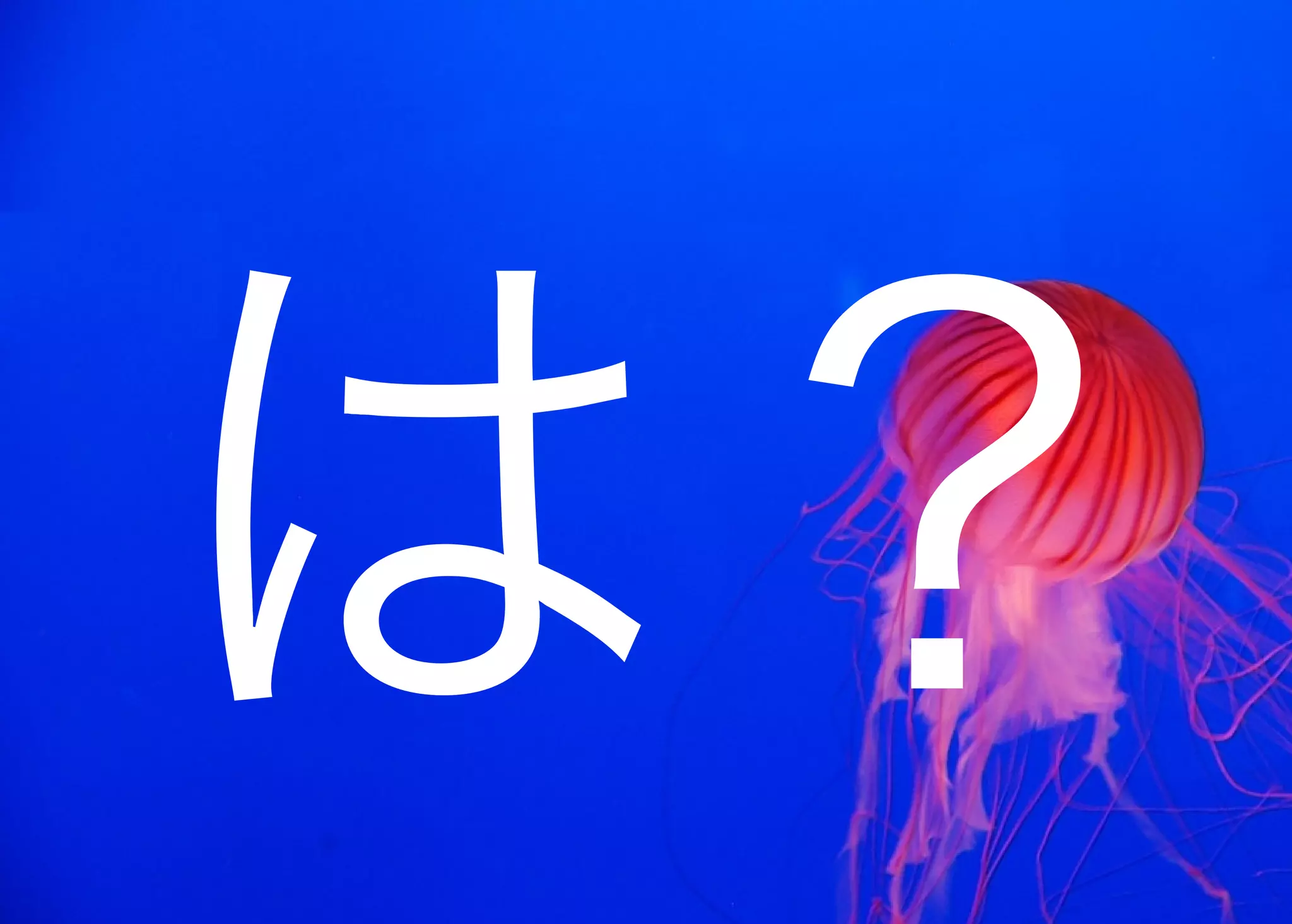 JavaからClojure、そして夢の世界へ