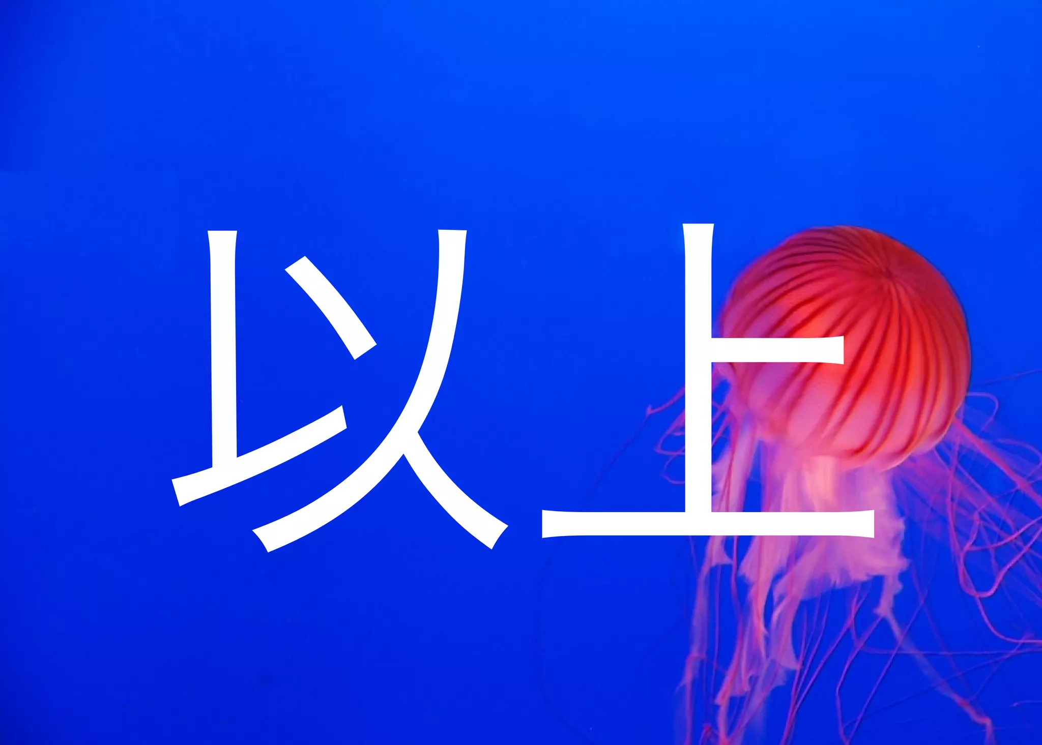 JavaからClojure、そして夢の世界へ