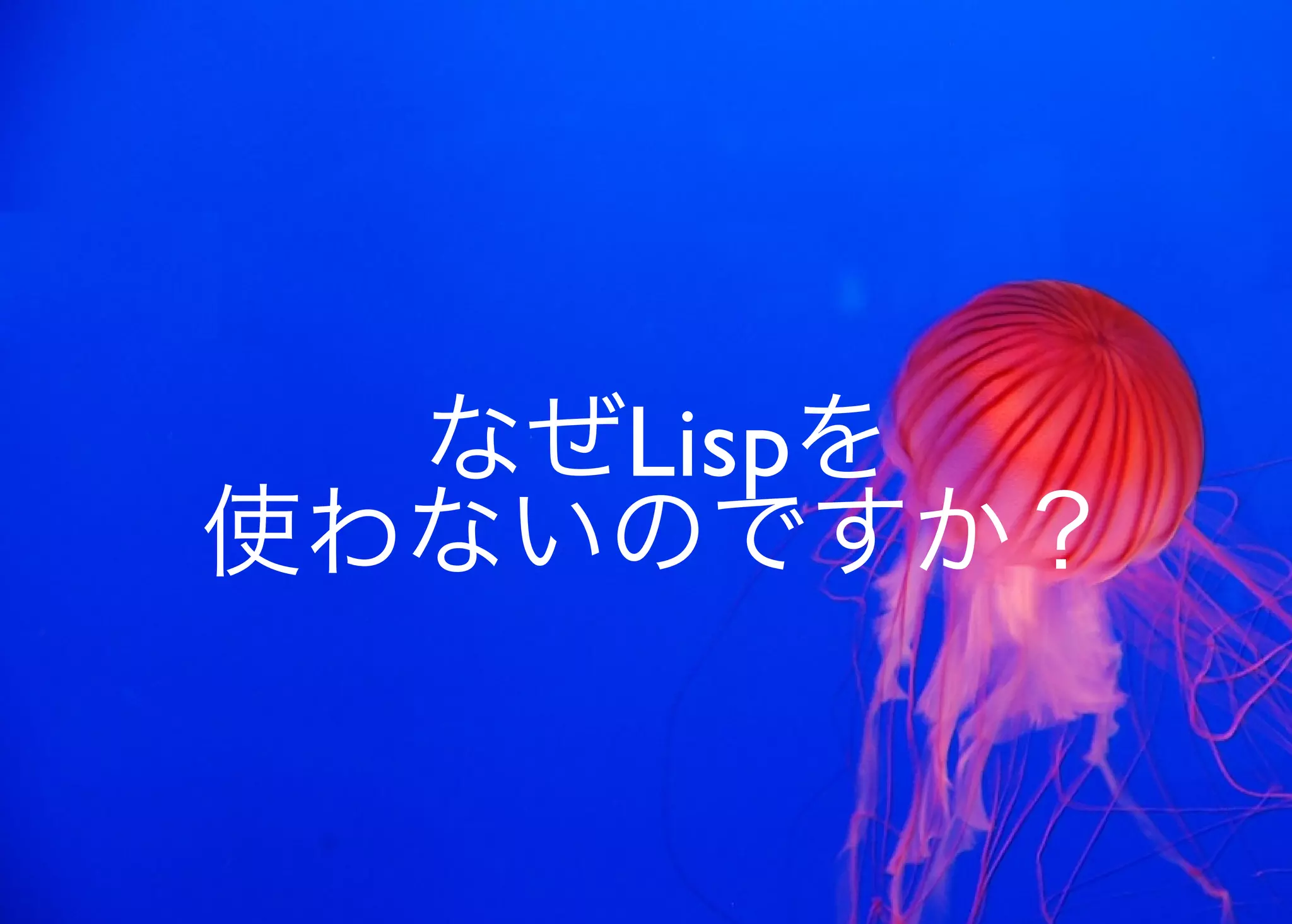 JavaからClojure、そして夢の世界へ