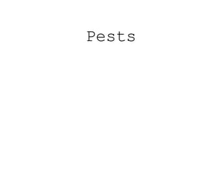 Pests
 