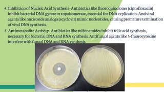 4.Inhibitionof Nucleic Acid Synthesis- Antibioticslikefluoroquinolones (ciprofloxacin)
inhibit bacterialDNAgyraseor topoisomerase, essential forDNA replication.Antiviral
agentslikenucleoside analogs (acyclovir)mimic nucleotides, causing prematuretermination
ofviralDNA synthesis.
5.Antimetabolite Activity-Antibiotics like sulfonamides inhibitfolicacidsynthesis,
necessary forbacterialDNA and RNA synthesis. Antifungal agentslike5-fluorocytosine
interferewithfungal DNAand RNA synthesis.
 