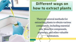 Different ways on
how to extract plants
Thereareseveralmethodsfor
extractingplantstoobtainvarious
compounds,including essential
oils,bioactive compounds,
pigments,andothervaluable
substances.
 