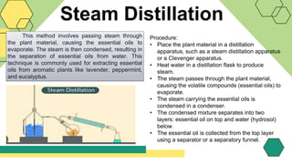 Steam Distillation
This method involves passing steam through
the plant material, causing the essential oils to
evaporate. The steam is then condensed, resulting in
the separation of essential oils from water. This
technique is commonly used for extracting essential
oils from aromatic plants like lavender, peppermint,
and eucalyptus.
Procedure:
• Place the plant material in a distillation
apparatus, such as a steam distillation apparatus
or a Clevenger apparatus.
• Heat water in a distillation flask to produce
steam.
• The steam passes through the plant material,
causing the volatile compounds (essential oils) to
evaporate.
• The steam carrying the essential oils is
condensed in a condenser.
• The condensed mixture separates into two
layers: essential oil on top and water (hydrosol)
below.
• The essential oil is collected from the top layer
using a separator or a separatory funnel.
 