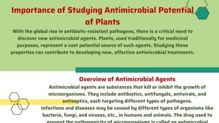 Importance of Studying Antimicrobial Potential
of Plants
With the global rise in antibiotic-resistant pathogens, there is a critical need to
discover new antimicrobial agents. Plants, used traditionally for medicinal
purposes, represent a vast potential source of such agents. Studying these
properties can contribute to developing new, effective antimicrobial treatments.
Overview of Antimicrobial Agents
Antimicrobial agents are substances that kill or inhibit the growth of
microorganisms. They include antibiotics, antifungals, antivirals, and
antiseptics, each targeting different types of pathogens.
Infections and diseases may be caused by different types of organisms like
bacteria, fungi, and viruses, etc., in humans and animals. The drug used to
 