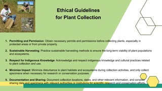 Ethical Guidelines
for Plant Collection
1. Permitting and Permission: Obtain necessary permits and permissions before collecting plants, especially in
protected areas or from private property.
2. Sustainable Harvesting: Practice sustainable harvesting methods to ensure the long-term viability of plant populations
and ecosystems.
3. Respect for Indigenous Knowledge: Acknowledge and respect indigenous knowledge and cultural practices related
to plant collection and use.
4. Minimize Impact: Minimize disturbance to plant habitats and ecosystems during collection activities, and only collect
specimens when necessary for research or conservation purposes.
5. Documentation and Sharing: Document collection locations, dates, and other relevant information, and consider
sharing data and specimens with relevant authorities or institutions for scientific research and conservation efforts.
 
