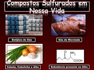 Compostos Sulfurados em
Nossa Vida
Botijões de Gás Gás de Morstada
Cebola, Cebolinha e Alho Substância presente no Alho
 
