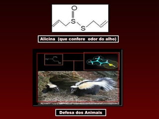 Alicina (que confere odor do alho)
Defesa dos Animais
 