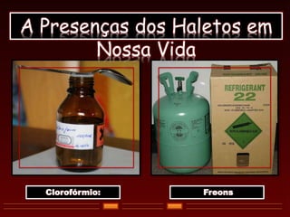 A Presenças dos Haletos em
Nossa Vida
Clorofórmio: Freons
 