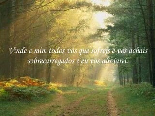 Vinde a mim todos vós que sofreis e vos achais sobrecarregados e eu vos aliviarei. 