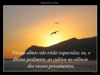 Vossas almas não estão esquecidas; eu, o divino jardineiro, as cultivo no silêncio  dos vossos pensamentos. 